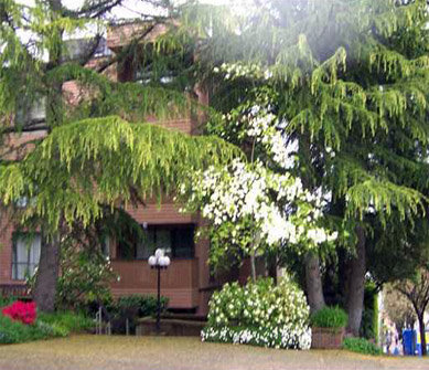 Kitsilano Terrace