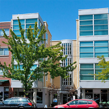 The Madison