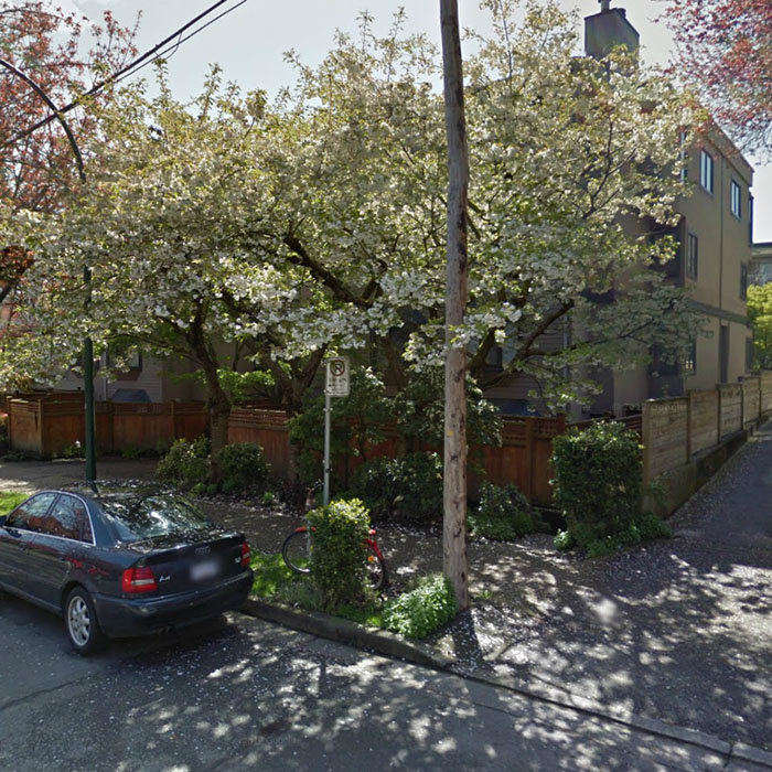 Maple Gardens photo 4