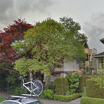2535 York photo 3