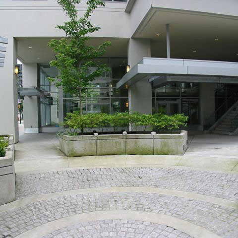 George - The Condominiums photo 2