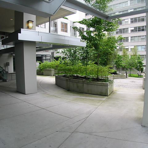 George - The Condominiums photo 4