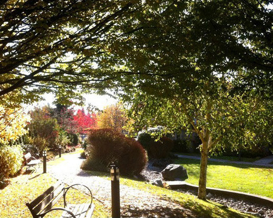 Photo 7 — click to view The Westchester photo 7