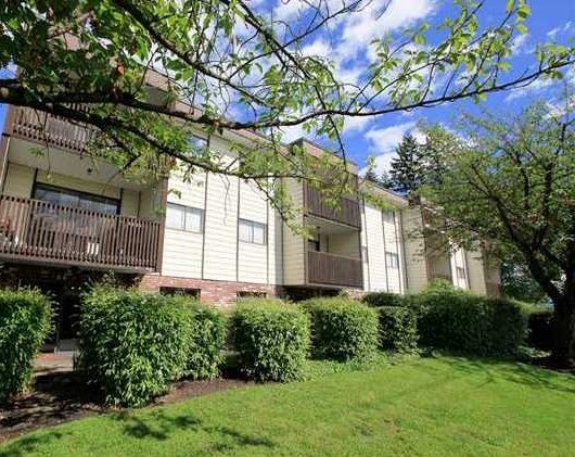 Angus Place photo 5