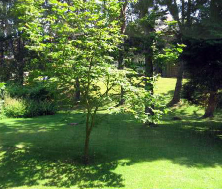 Photo 8 Arbutus Village photo 8