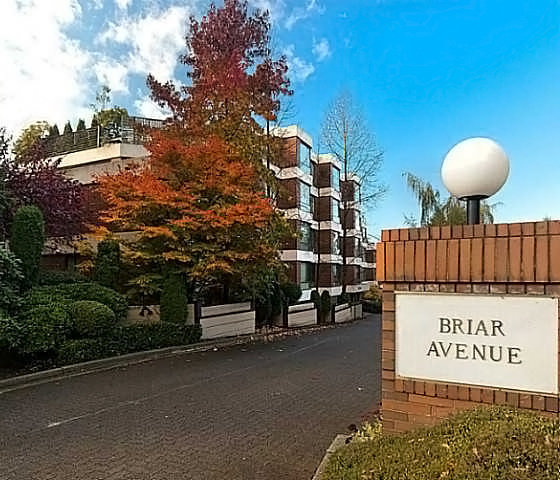 Photo 3 The Briar photo 3