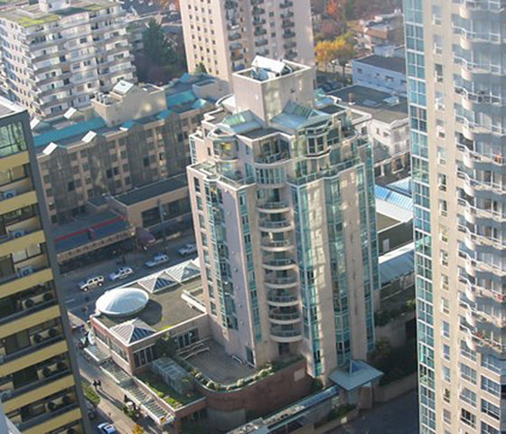 Photo 8 Jervis Court photo 8