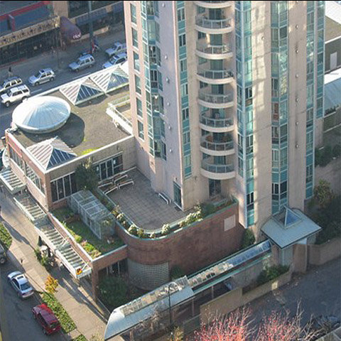 Photo 12 Jervis Court photo 12