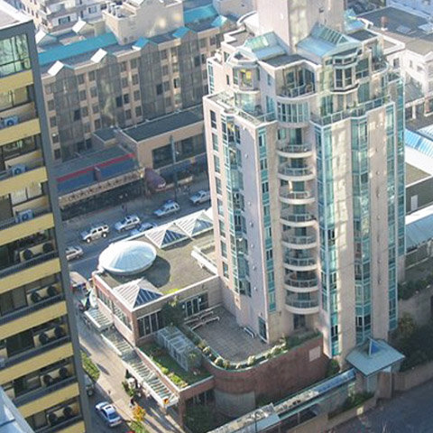 Photo 11 Jervis Court photo 11