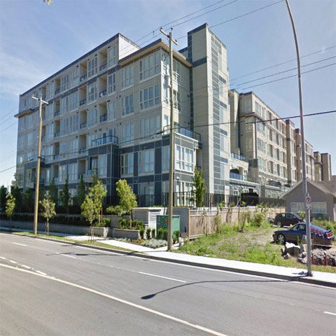 Remy photo 3