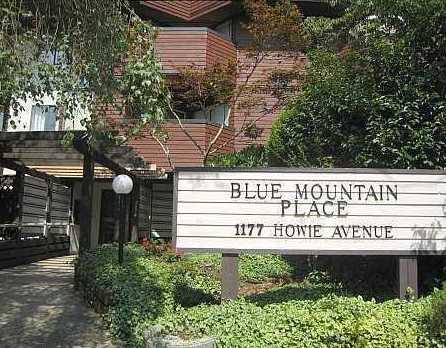 Blue Mountain Place photo 3