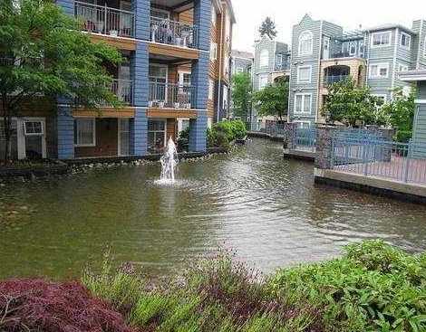 Lakeside Terrace photo 5