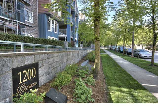 Lakeside Terrace photo 7