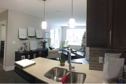 Orchid Riverside Condos photo 14