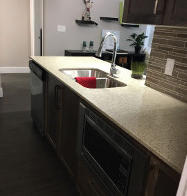 Orchid Riverside Condos photo 15