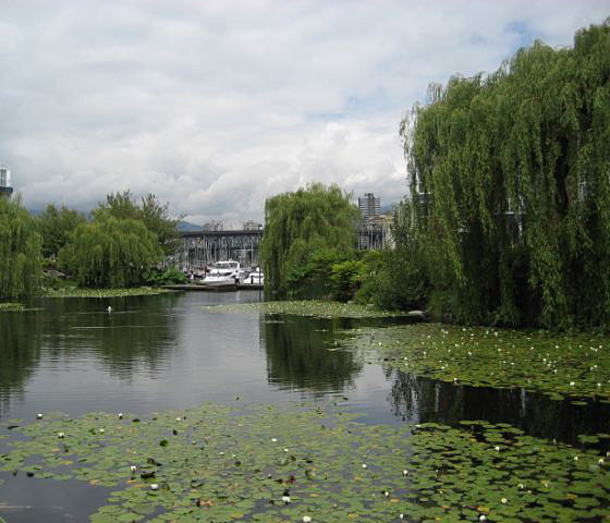The Lagoons photo 8