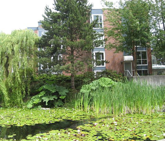 The Lagoons photo 13