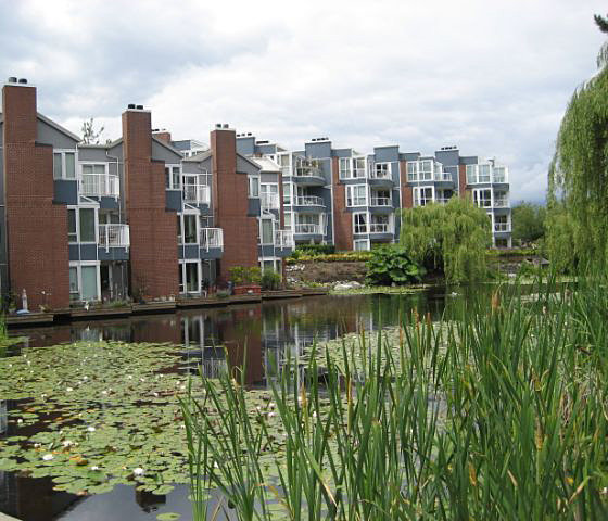 The Lagoons photo 7