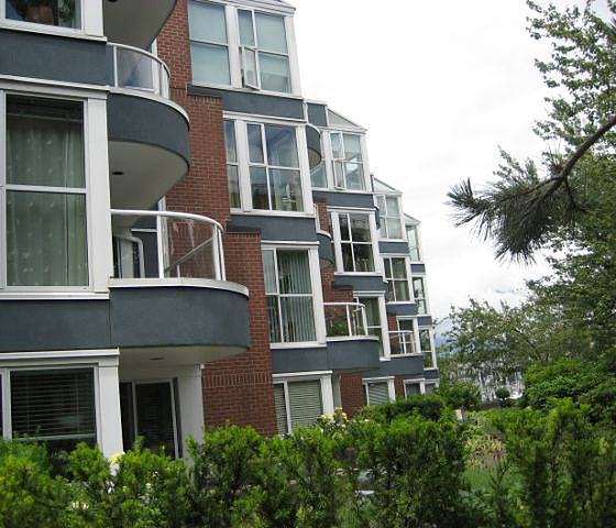 The Lagoons photo 6