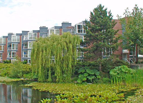 The Lagoons photo 10