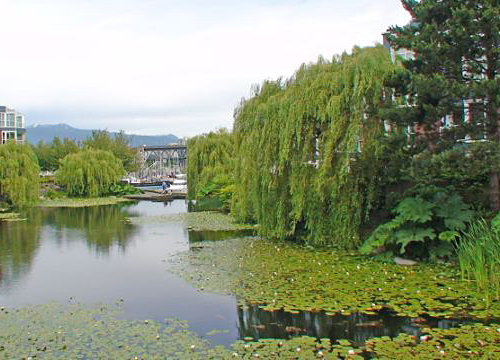The Lagoons photo 11