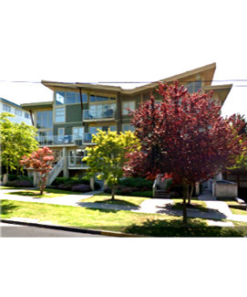 Wilden Lofts