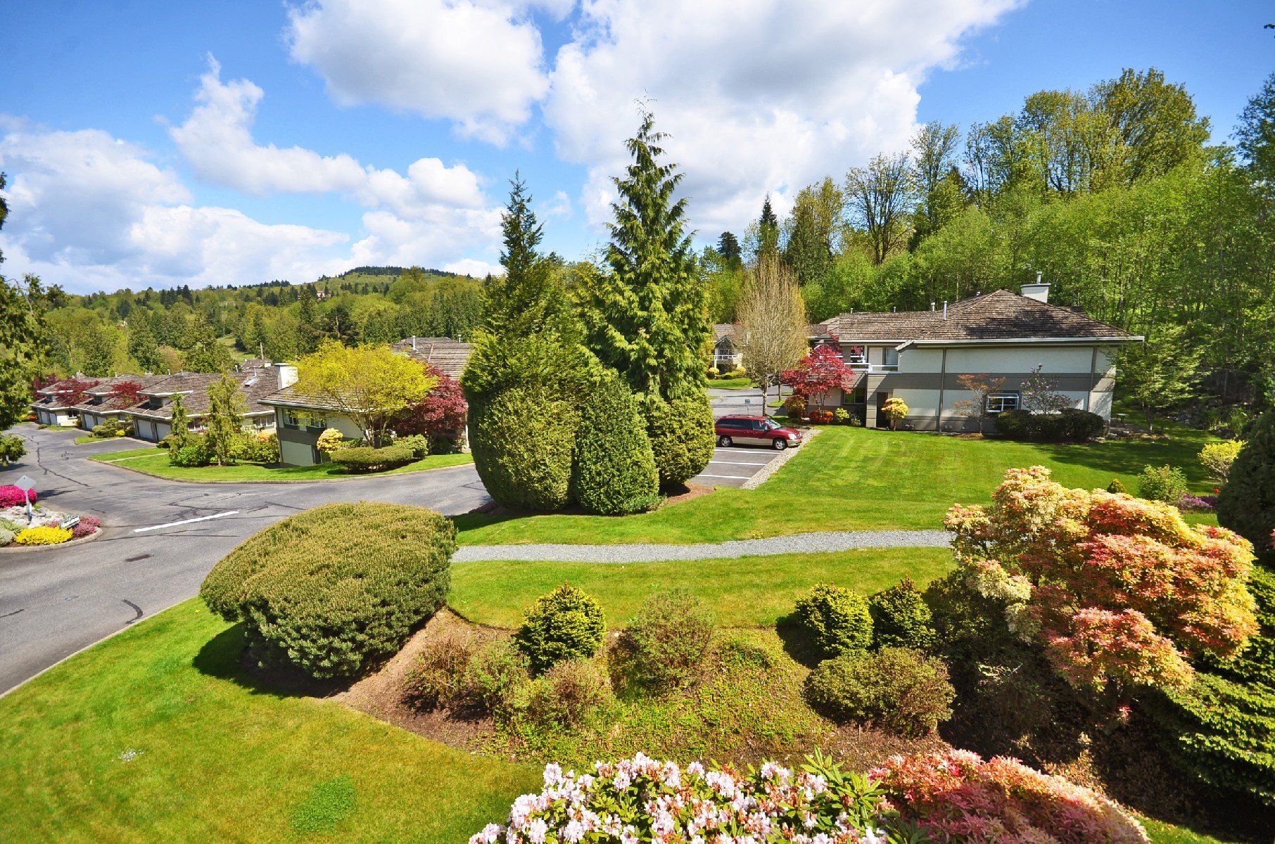 Cedar Springs photo 3
