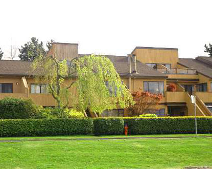 Photo 3 Marine Mews photo 3