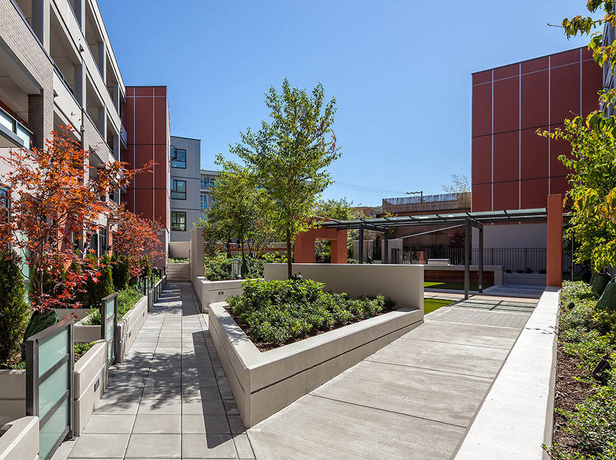 Mercer photo 17