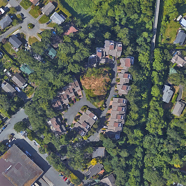 Swan Lake Estate photo 5