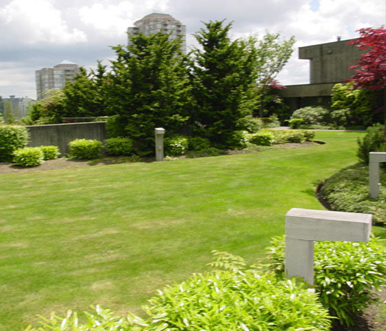 Discovery Place II photo 11