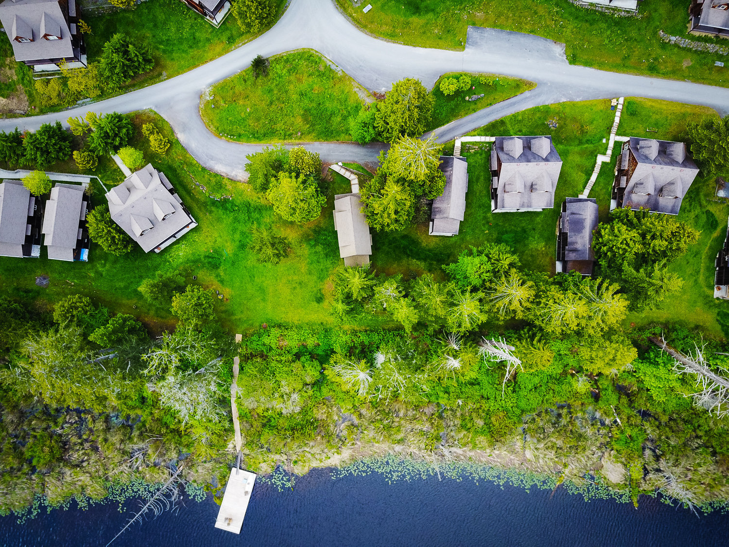 The Cottages photo 10