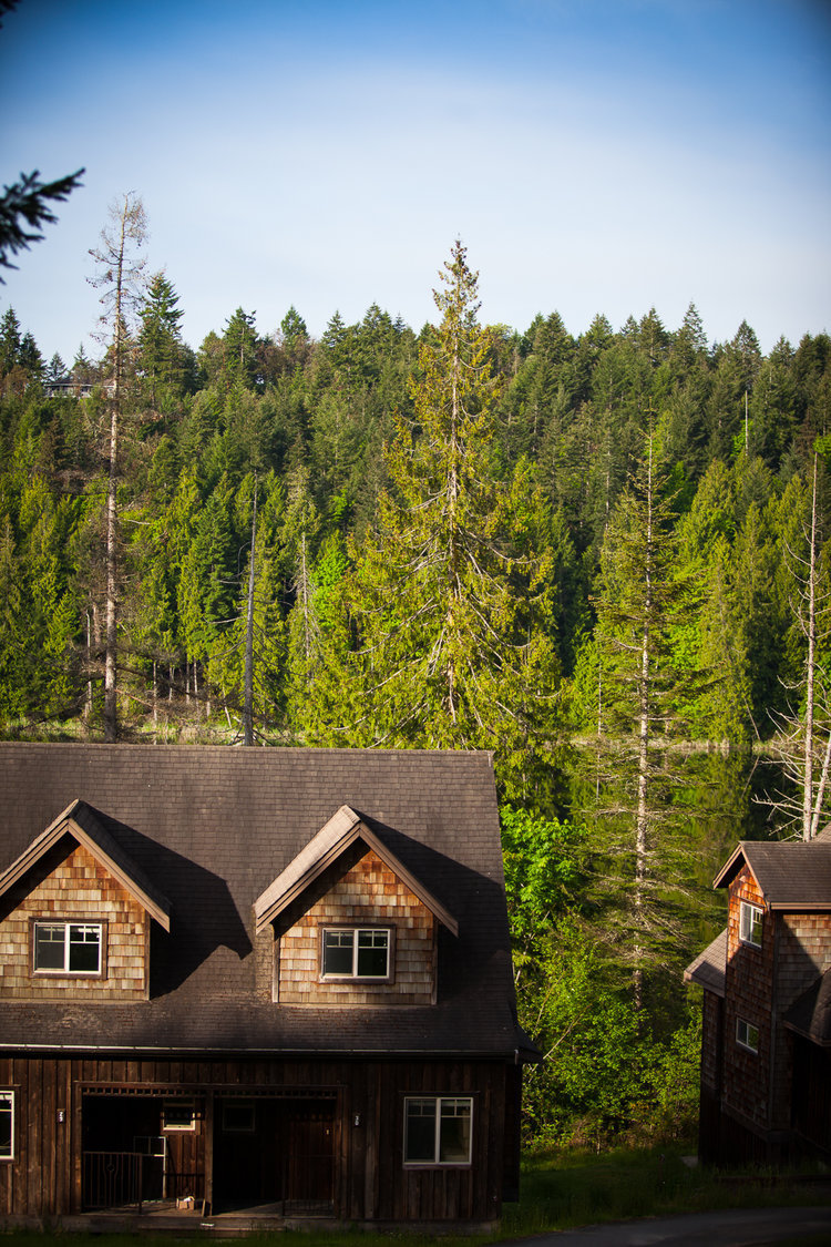 The Cottages photo 11