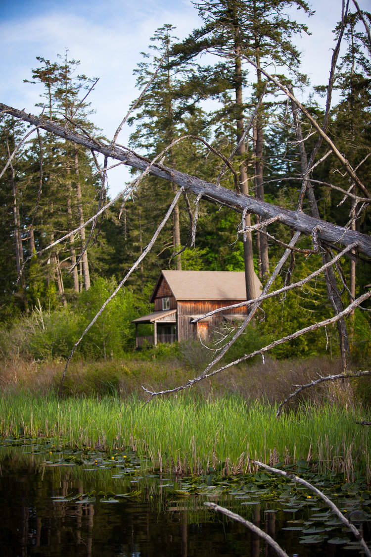 The Cottages photo 5