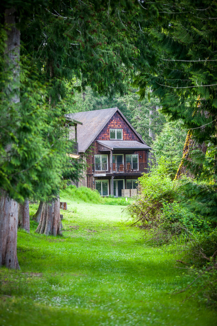 The Cottages photo 2