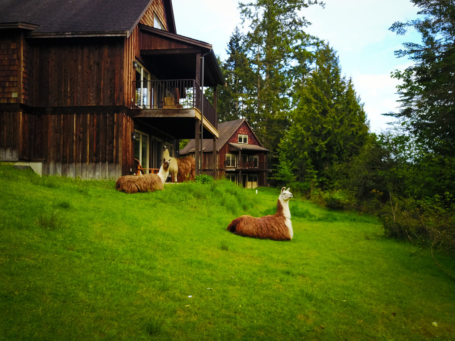 The Cottages photo 12