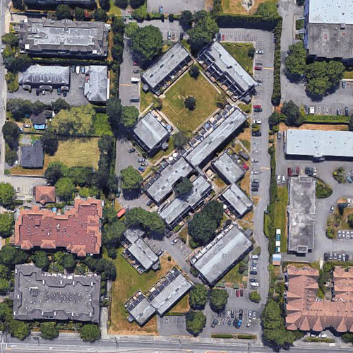 Clover Park Gardens photo 4
