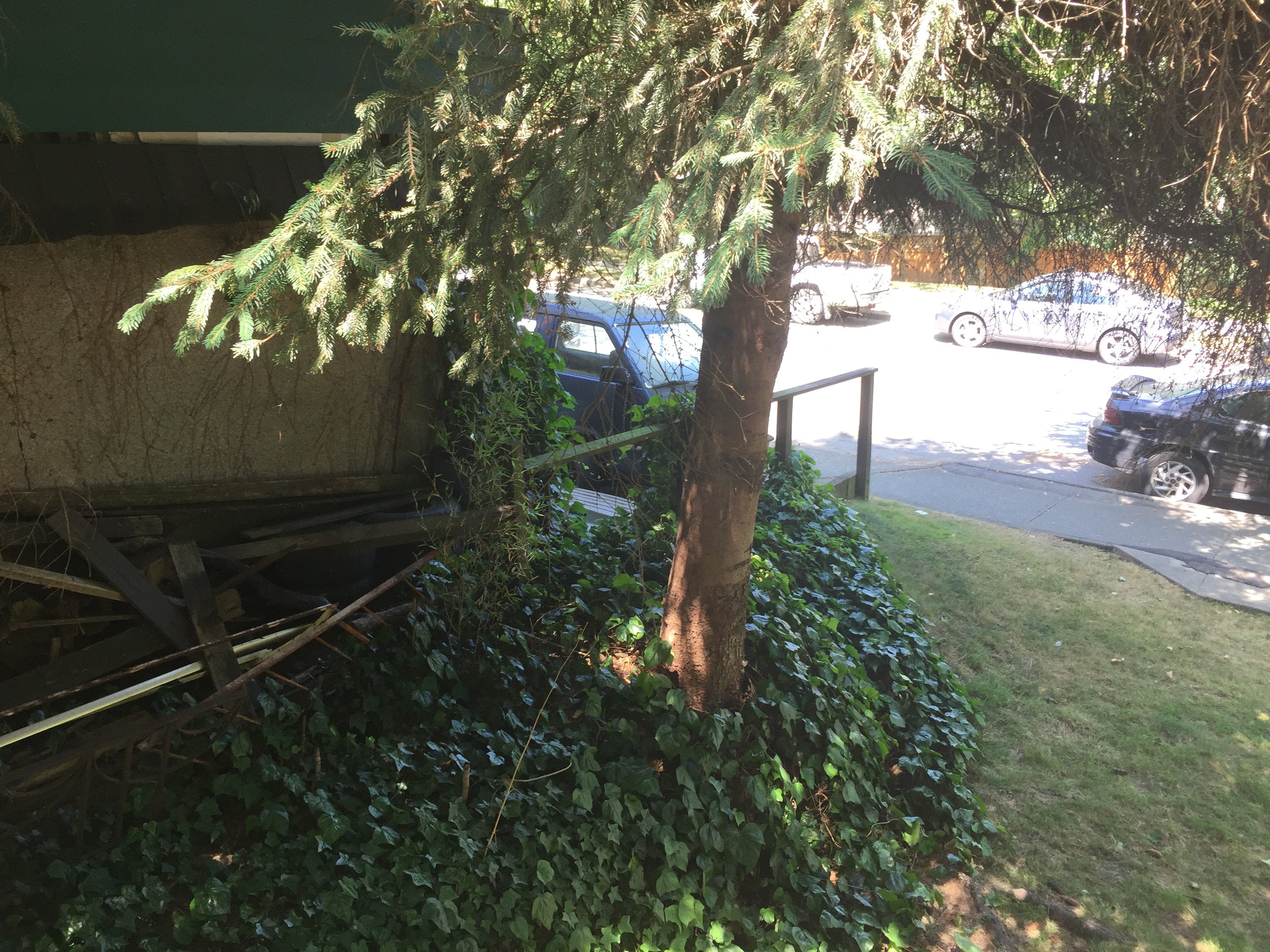 Photo 12 Fairfax photo 12