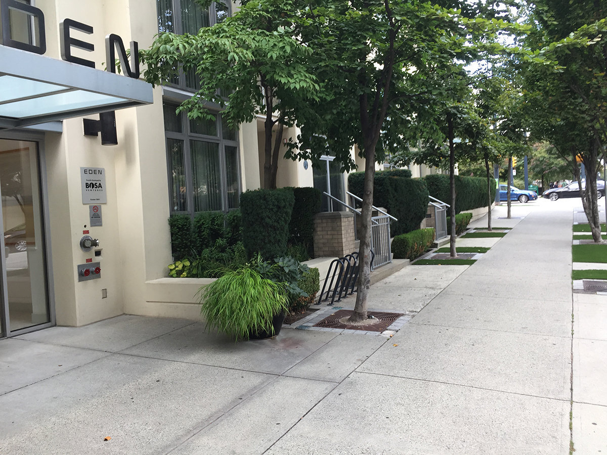 Eden photo 16