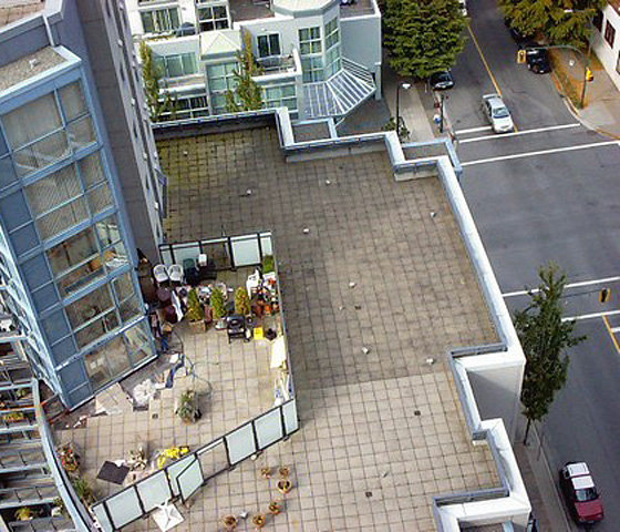 The Concord photo 11