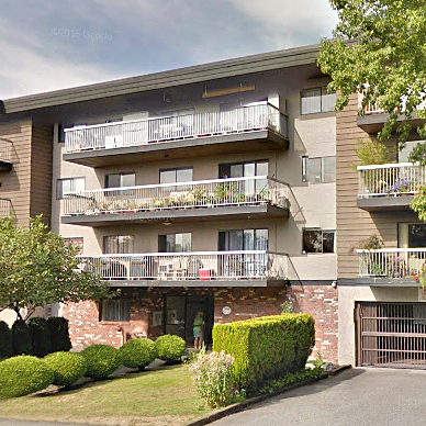Photo 3 Lorraine Place photo 3