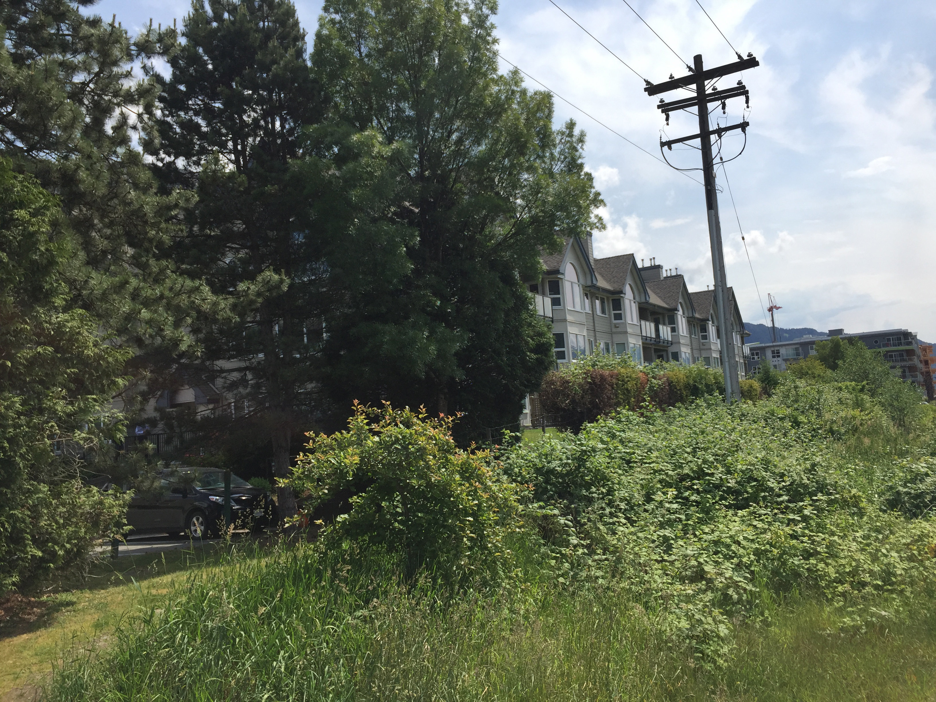 Marina Estates photo 29