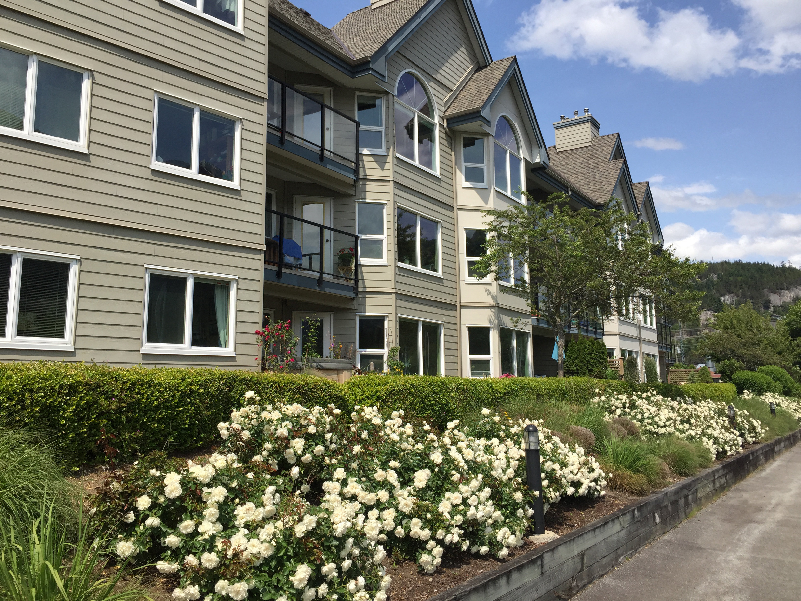 Marina Estates photo 9
