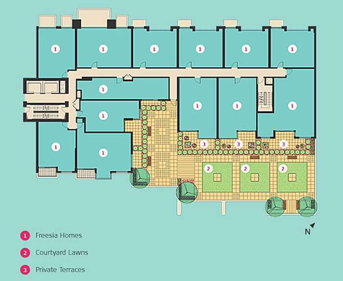 Freesia location map 3