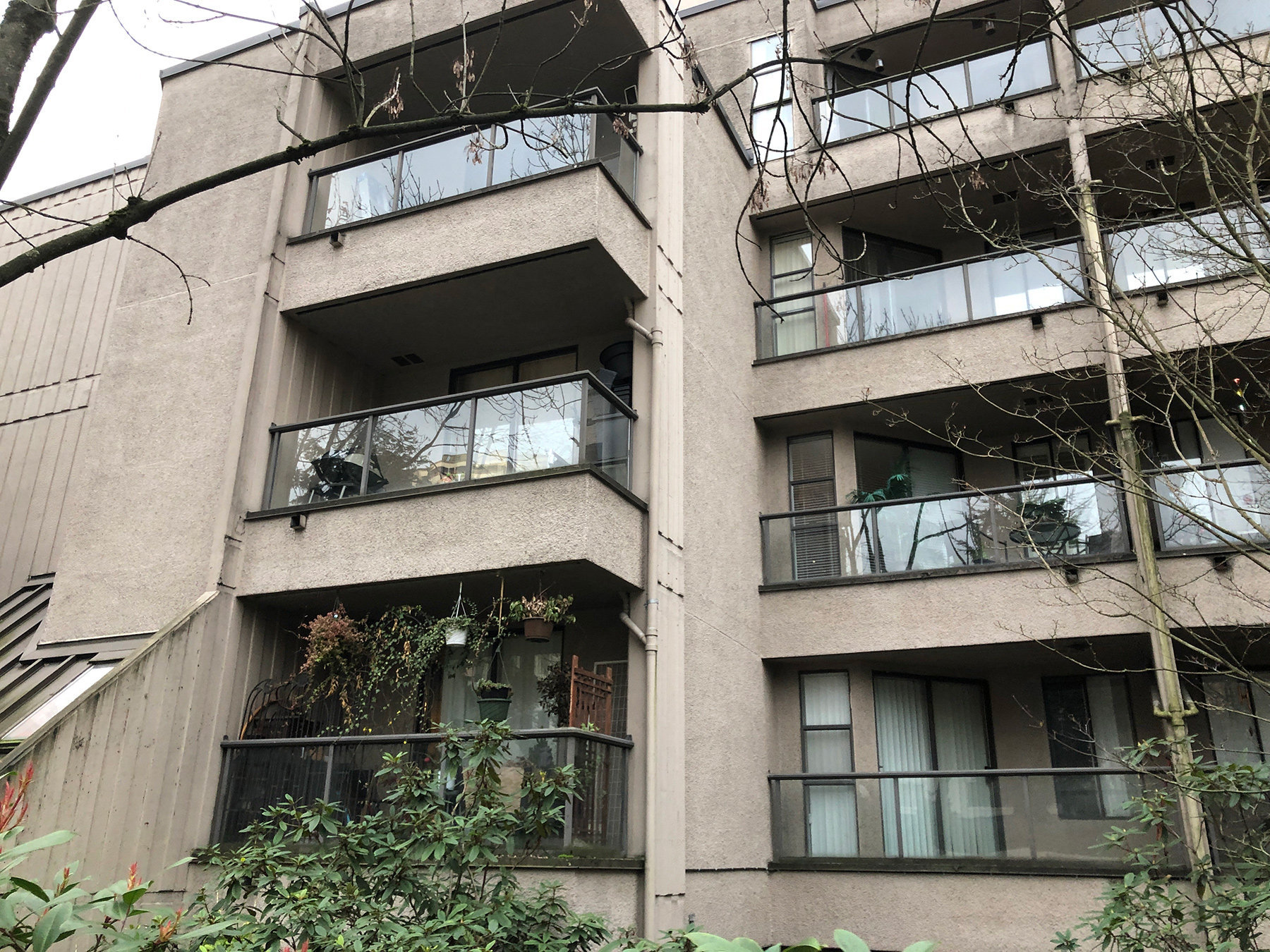 Chelsea Terrace photo 8