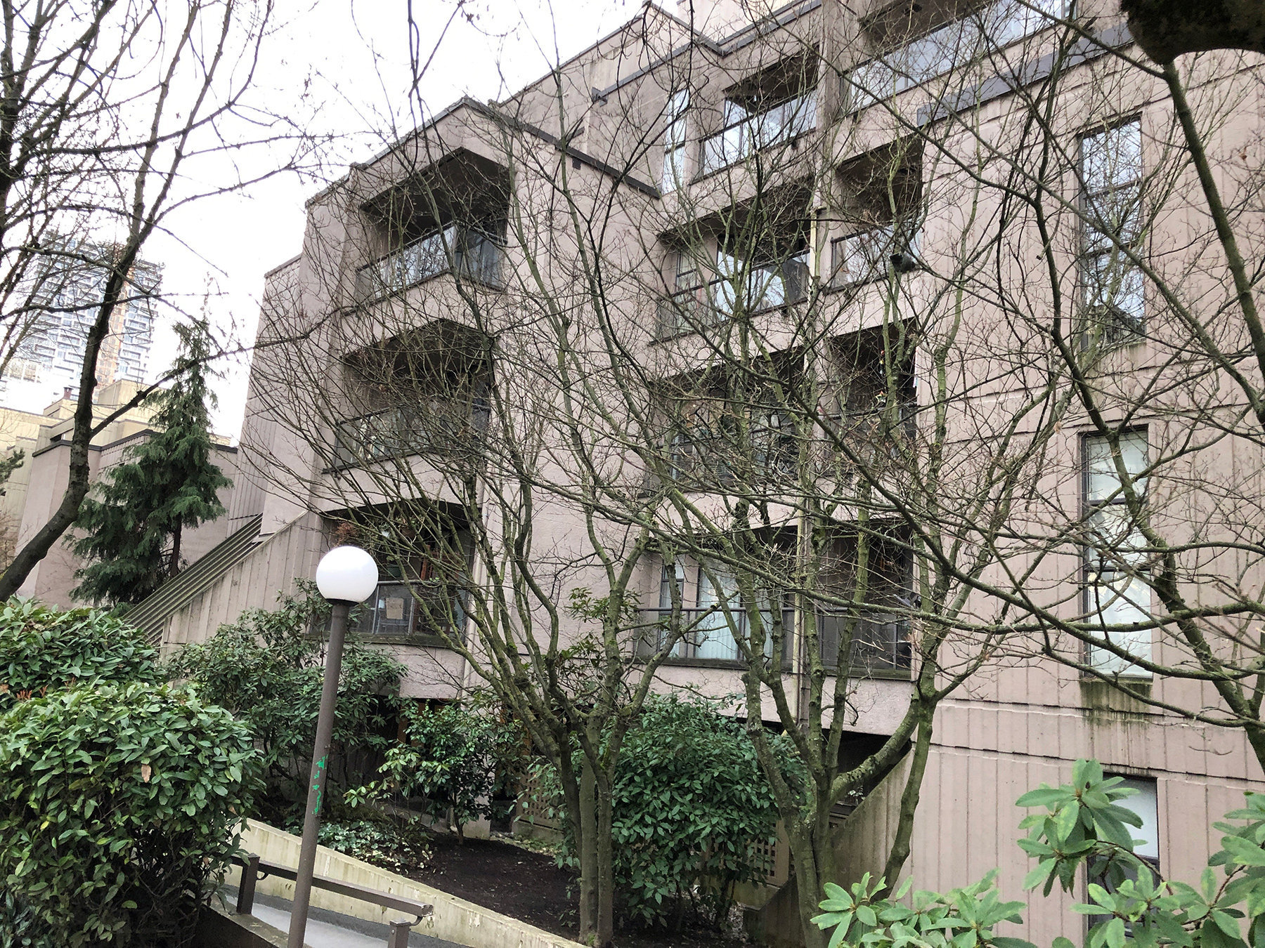 Chelsea Terrace photo 5