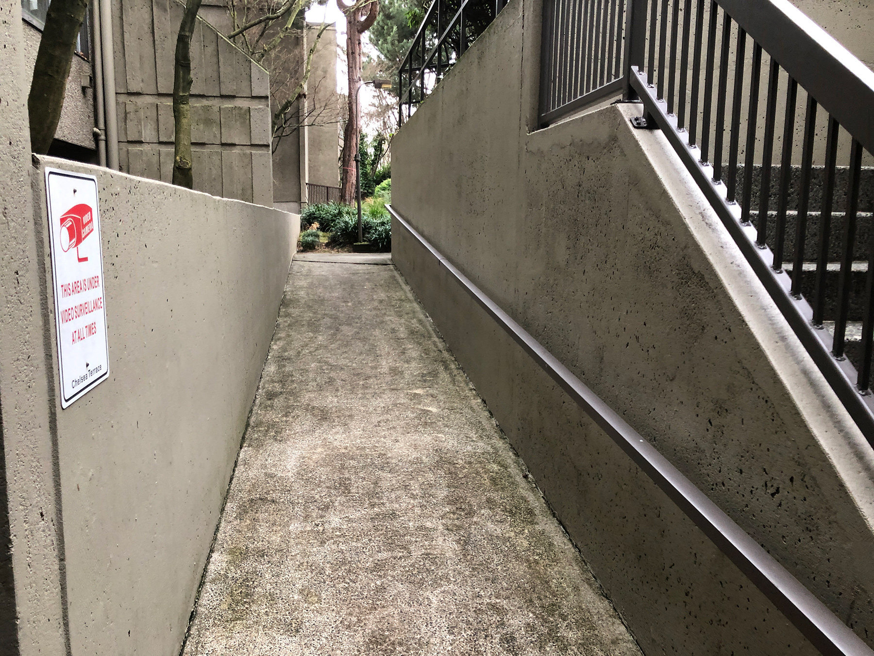 Chelsea Terrace photo 11