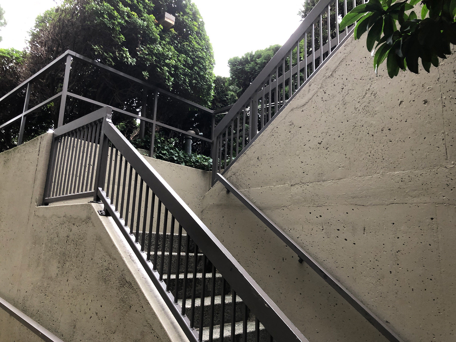 Chelsea Terrace photo 10