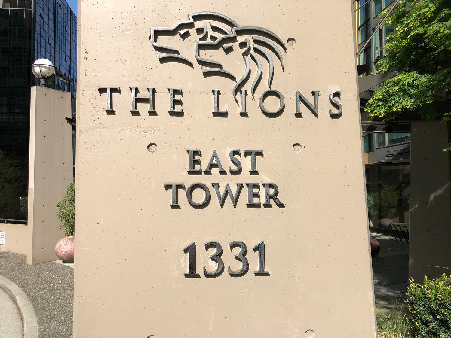 The Lions photo 23