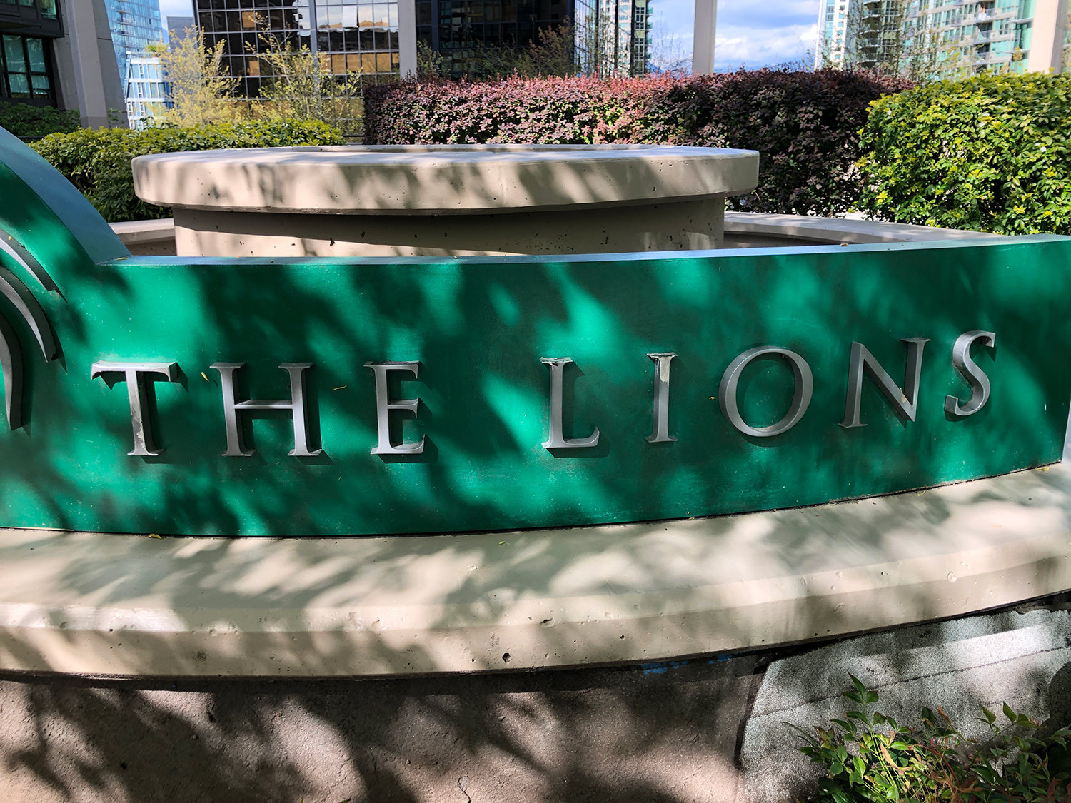 The Lions photo 21